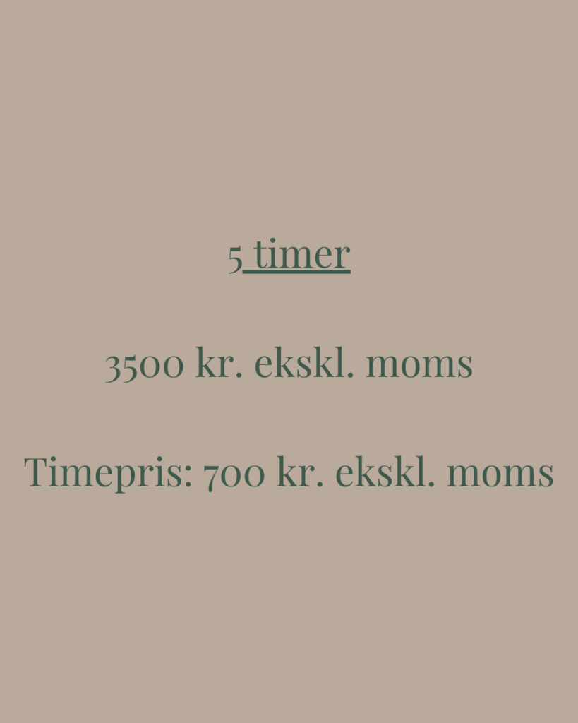 Amalie Benner Kommunikation